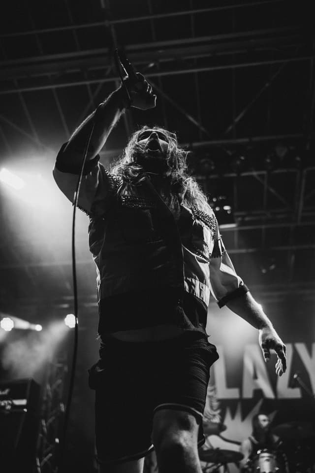 Ackerbrand Festival image 12